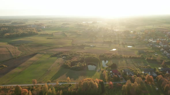 AERIAL: Flying Over Green Forest and Fields in Summer in Countryside Village