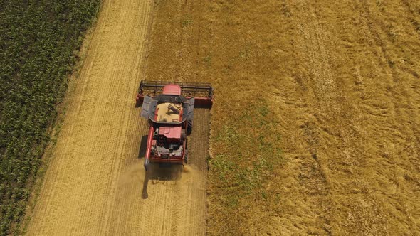Resolution Drone Flight Over Combine Harvester Harvest Ripe Wheat on a Farm alt