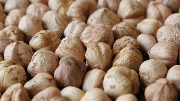 Close-up lot of Corylus avellana cob fruit  4K 2160p 30fps UltraHD tilting footage - Slow tilt healt alt