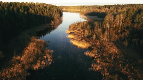 Aerial View of the River in the Middle of the Forest