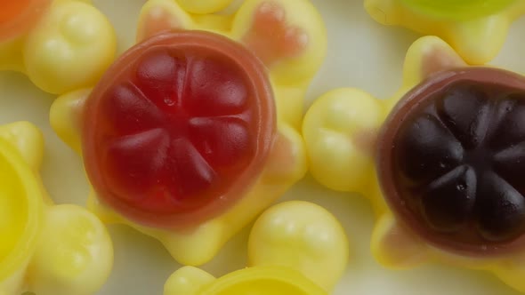 turtle shaped Tasty jelly candies