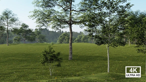 Field Of Green Grass And Trees alt