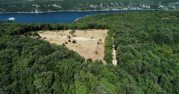 Aerial view of a deforested field along the lake near Lastovo, Croatia. alt
