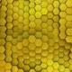Hexagon Background Gold - VideoHive Item for Sale
