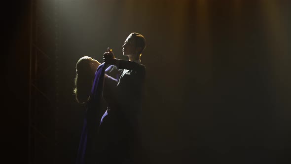 A Romantic Couple in Elegant Outfits is Dancing the Waltz alt