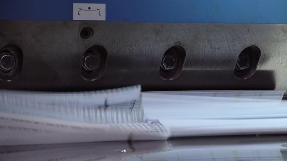 Employee Working at Print House alt