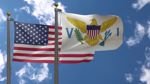Usa Flag Vs United States Virgin Islands Flag  On Flagpole alt