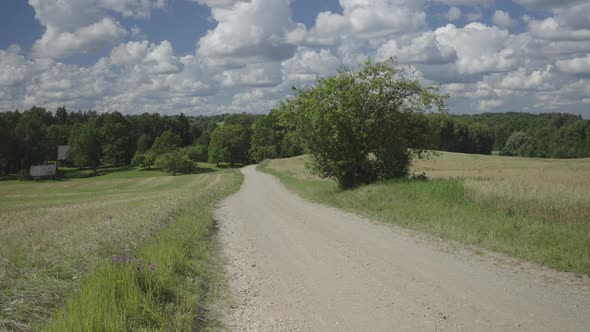 Yellow Gravel Road Through the Fields of Latvia