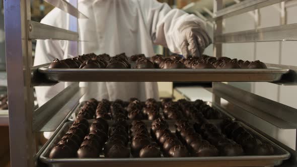 Chocolate truffles sorted onto trays at candy factory