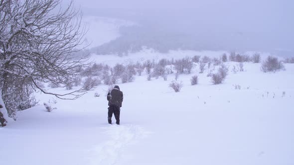 The man who froze to death in the forest. alt