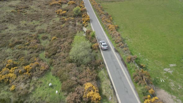 Fixed follow of car travelling rural road