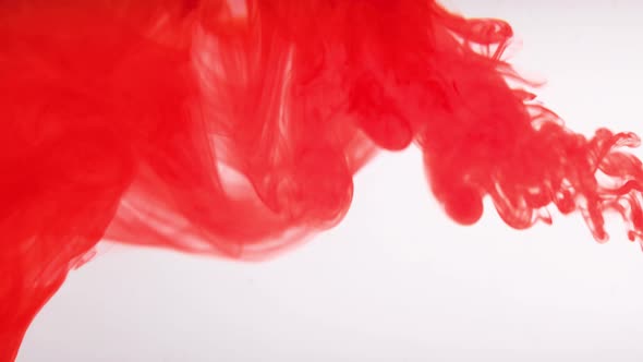 Red Color Paint Drops in Water  Drop of Red Ink Color Falling on Water Colorful Ink   Footage alt