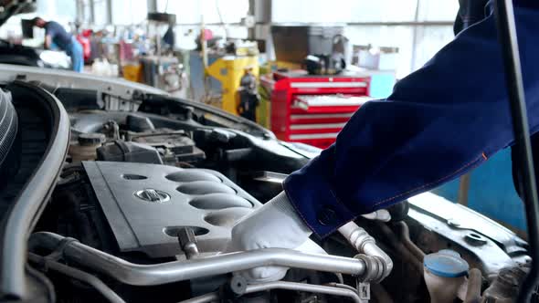 Auto Mechanic Checks the Car Engine Oil