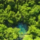 Aerial, A Hidden Paradise Lake In The Middle Of Rain Forest In Queensland, Australia - VideoHive Item for Sale