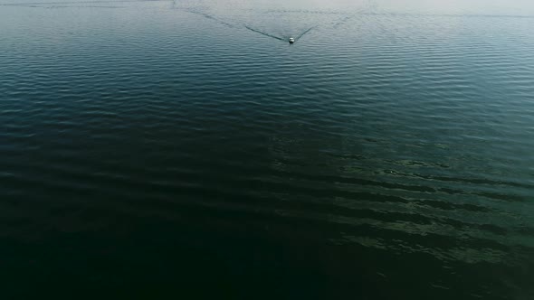 aerial view of little white boat on big lake driving towards, revealing snow mountains behind switze alt
