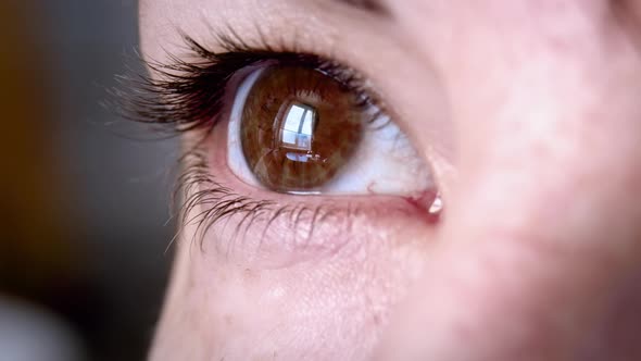 Woman Eye Looks Out the Window Macro Shot Female Brown Eye Cinematic