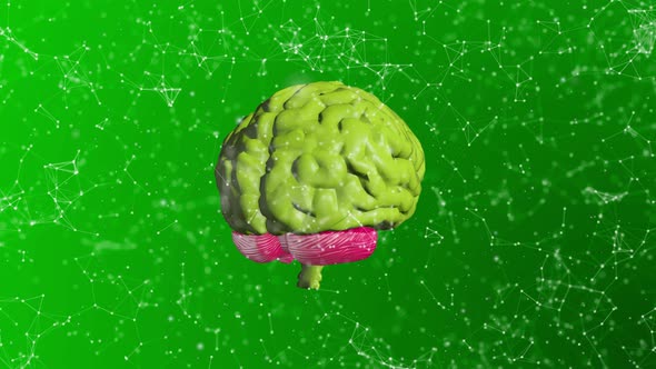 Dark Green Plexus Brain Background