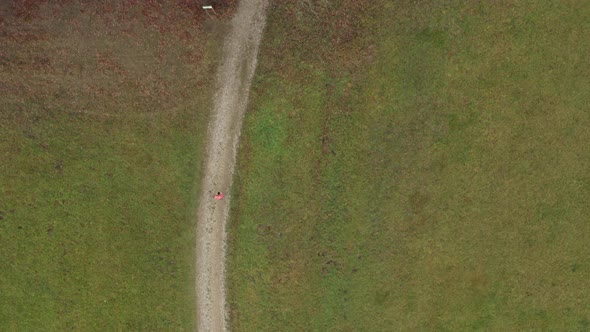 Aerial View in Tracking Woman Running on Path on Meadow Into Wood