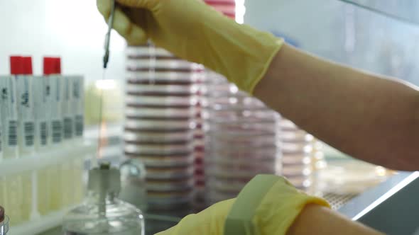 Healthcare and Human Analysis alt