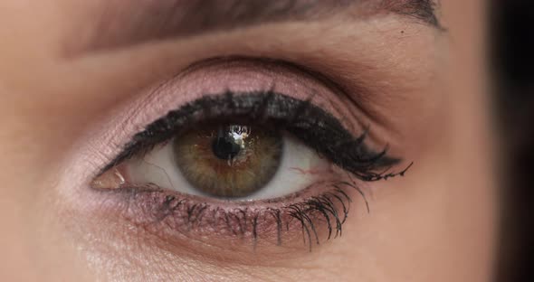 Cropped Footage of Attractive Young Woman with Artificial Eyelashes Smiling