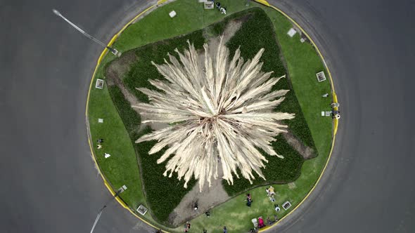 Cenital drone shot of dry simbolic palm at Paseo de la reforma in Mexico city alt