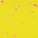 Round Pink Confetti Floating in Air on an Isolated Yellow Background - VideoHive Item for Sale
