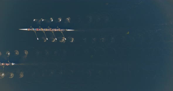 Aerial of dragon boat race during annual Riverfront Dragon Boat Festival alt