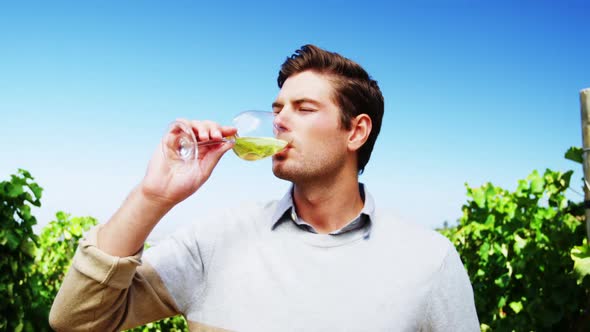 Man drinking wine in vineyard alt