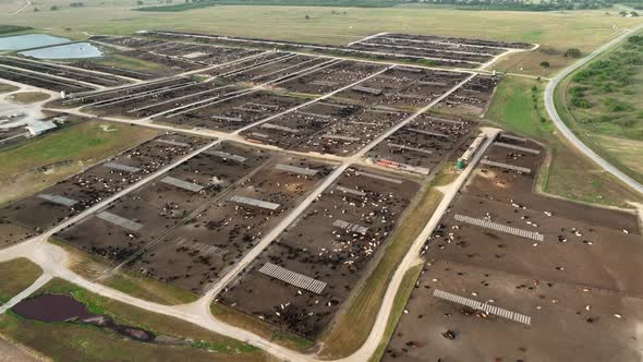 Global warming attributed to bovine carbon dioxide emissions. Huge cattle ranch in USA. Aerial revie alt