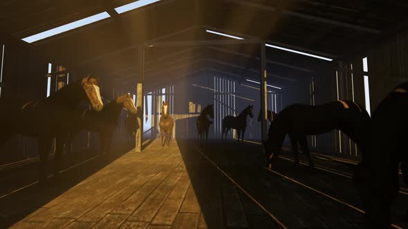 Horses In The Stable alt