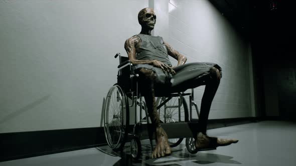 A Skeleton Sits In A Wheelchair