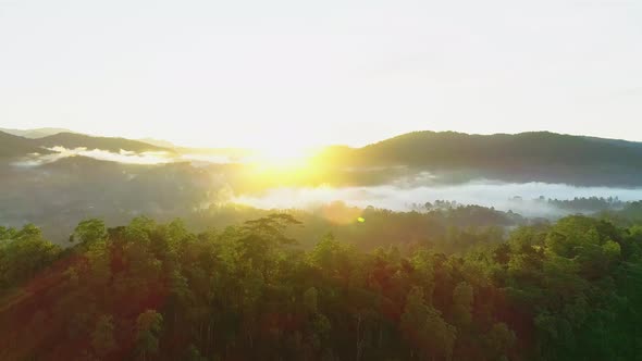 Aerial Jungle Forest Ridge Sunrise