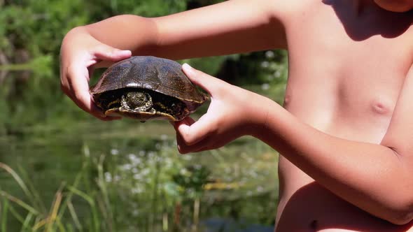 Boy Holds Turtle in Arms on Background of a River with Green Vegetation alt