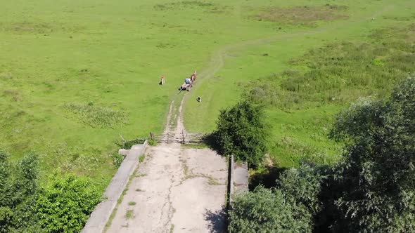 People are riding on old wooden cart on dirt road in grasslands. Life in village. Drone view alt