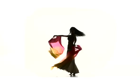Exotic Belly Dancer Girl Dancing with Two Long Fans, on White, Silhouette, Shadow, Slow Motion alt