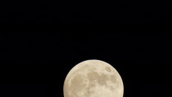 A full moon supermoon rises. alt