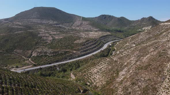 Roadside Land Afforested alt