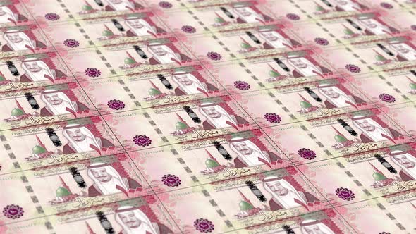 One Hundred Saudi Arabian Riyals. It’s Moving Downwards. Looped Animation. alt