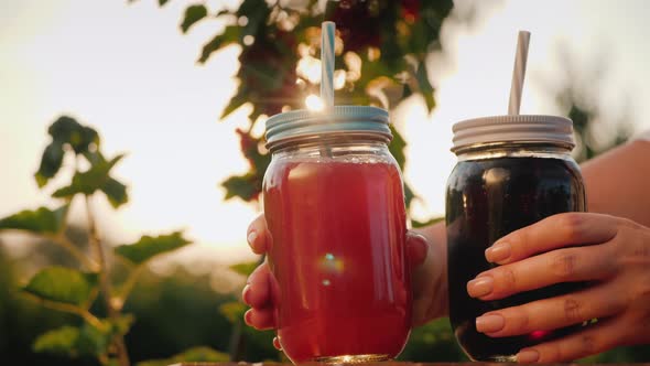 A Woman Puts Two Fruit Soft Drinks on the Table. Against the Background of the Currant Bush alt