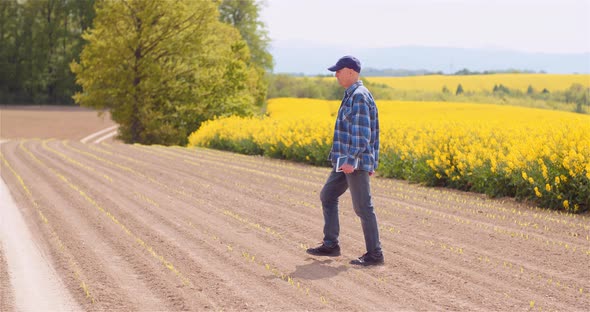 Agriculture - Farmer Walking on Field Examining Crops at Farm at Dusk alt