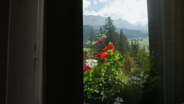 Colorful flowers at window in landscape, Alta Badia, Italy