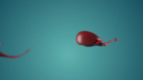 detecting or observing an unknown life form in a murky liquid alt