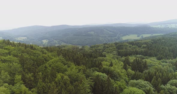 Aerial View of Forest alt