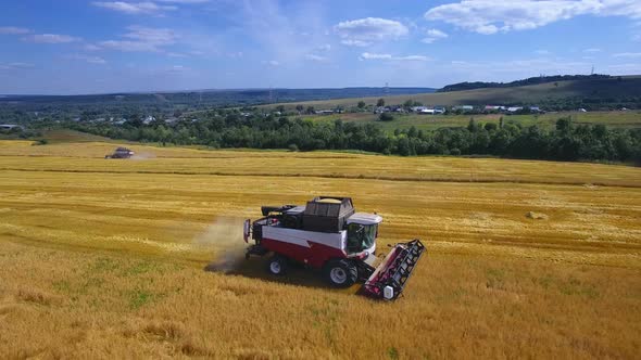 Modern Harvest Velhice Combine Tractor Harvester Harvests Crops in the Field, Aerial Fly Orbit.
