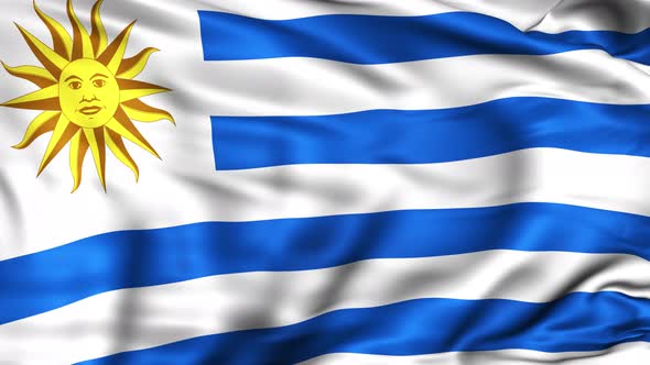 Uruguay Flag alt