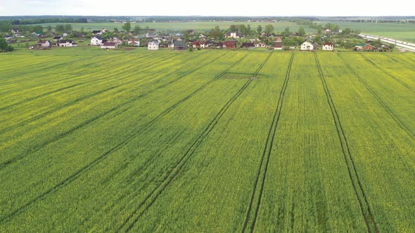 Top View of a Sown Green Field and a Small Village in Belarus alt