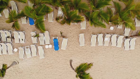 Crisis in Tourist Business alt