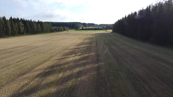Drone flying fast and low over farmland and forest in Finland national park alt