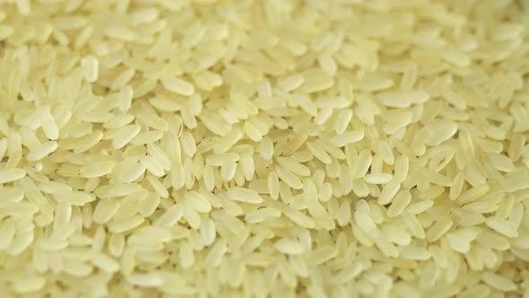 Yellowish Steamed Rice Spins As a Backdrop in a Japanese Restaurant alt