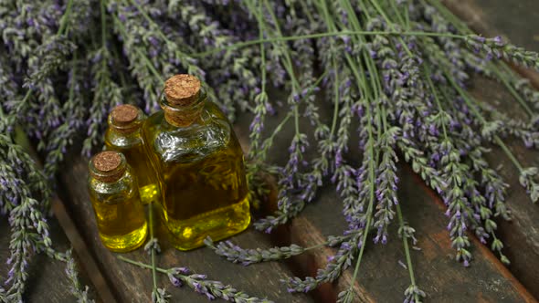 Lavender and Lavender Oil 29 alt
